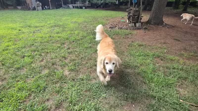 Iva's Place - Grand Junction,