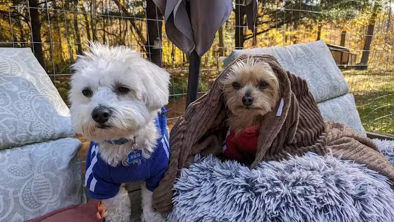 Iva's Place - Grand Junction,