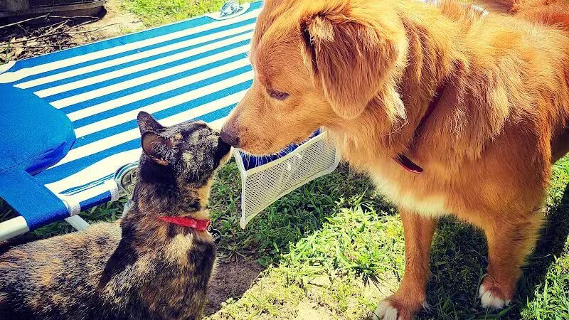 Iva's Place - Grand Junction,