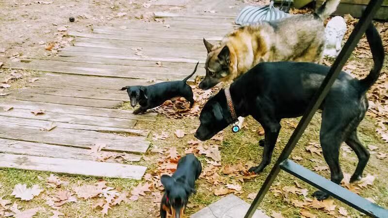 Iva's Place - Grand Junction,