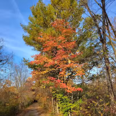 Kal-Haven Trail Trailhead Grand Junction - Grand Junction,