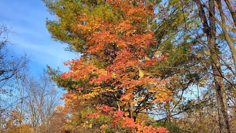 Kal-Haven Trail Trailhead Grand Junction - Grand Junction,