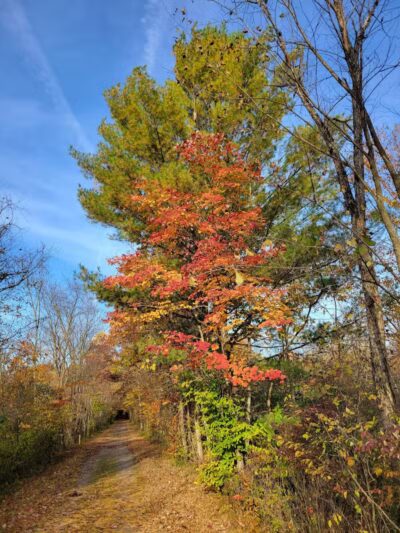 Kal-Haven Trail Trailhead Grand Junction - Grand Junction,