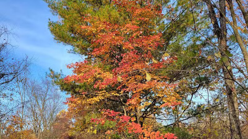 Kal-Haven Trail Trailhead Grand Junction - Grand Junction,