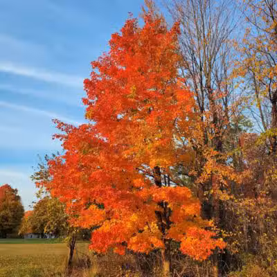 Kal-Haven Trail Trailhead Grand Junction - Grand Junction,