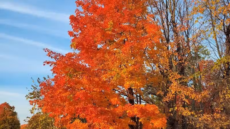 Kal-Haven Trail Trailhead Grand Junction - Grand Junction,