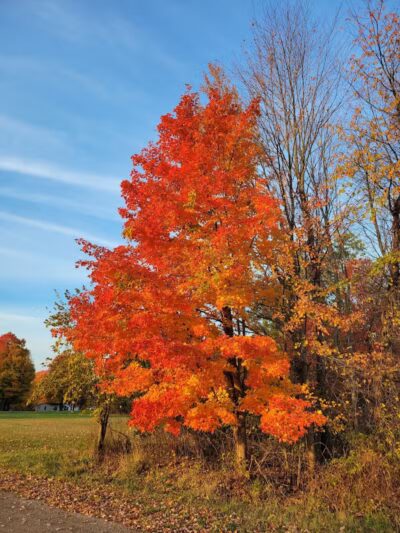 Kal-Haven Trail Trailhead Grand Junction - Grand Junction,