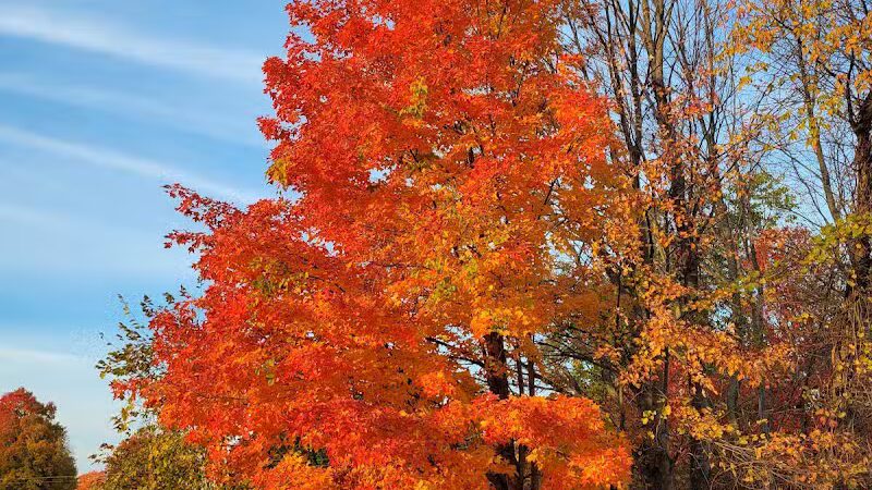 Kal-Haven Trail Trailhead Grand Junction - Grand Junction,