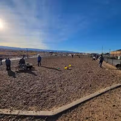 Las Colonias Dog Park - Grand Junction,