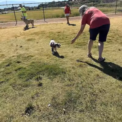 Las Colonias Dog Park - Grand Junction,