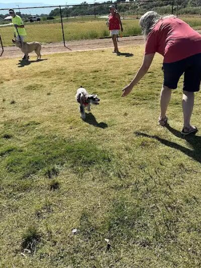Las Colonias Dog Park - Grand Junction,