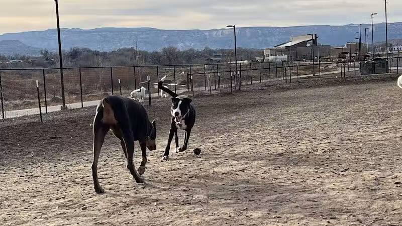 Las Colonias Dog Park - Grand Junction,