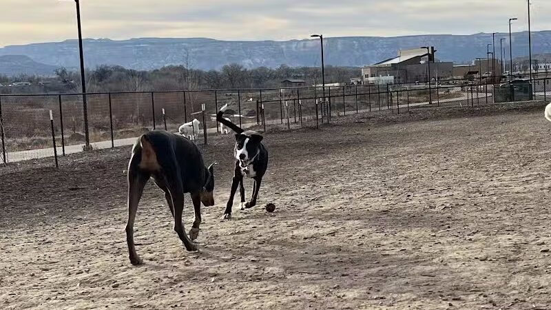 Las Colonias Dog Park - Grand Junction,