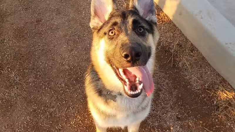 Las Colonias Dog Park - Grand Junction,