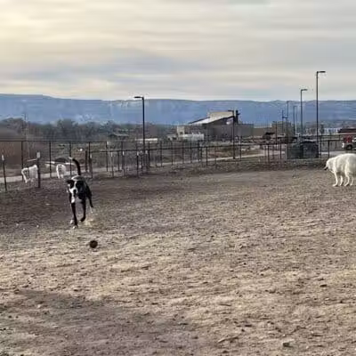 Las Colonias Dog Park - Grand Junction,