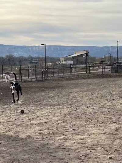 Las Colonias Dog Park - Grand Junction,