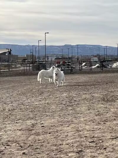 Las Colonias Dog Park - Grand Junction,