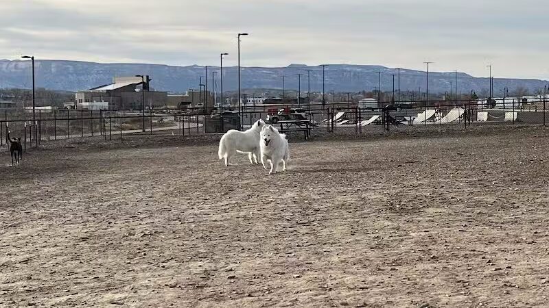 Las Colonias Dog Park - Grand Junction,