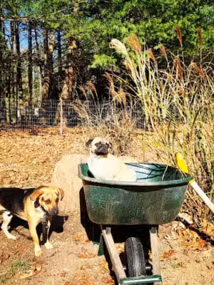 Iva's Place - Grand Junction,