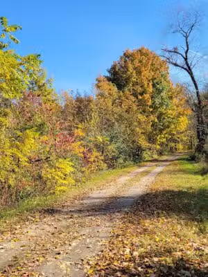 Kal-Haven Trail Trailhead Grand Junction - Grand Junction,