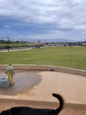 Las Colonias Dog Park - Grand Junction,