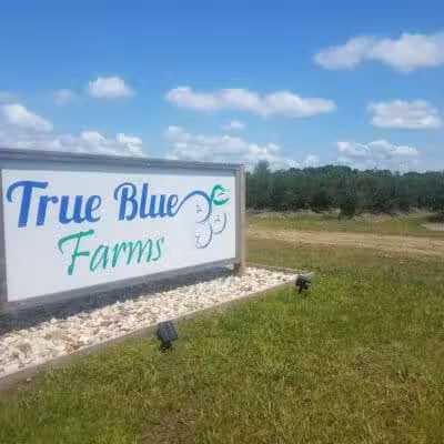 True Blue Farms - Grand Junction,