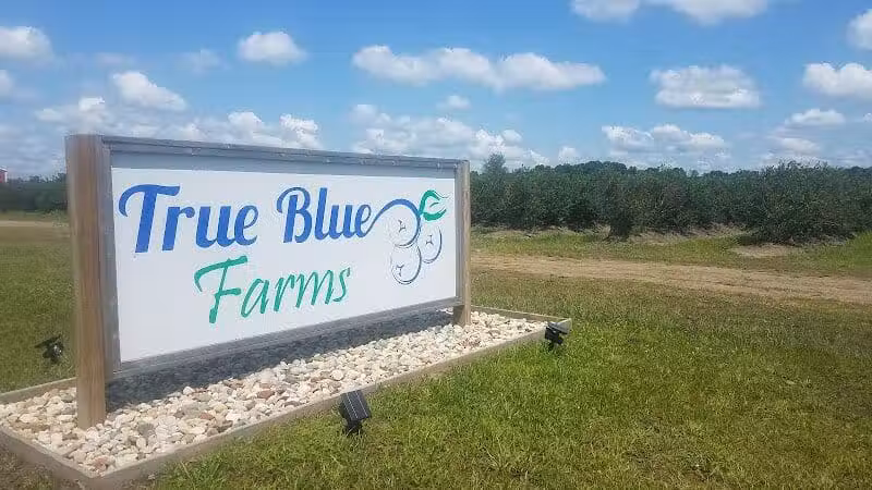 True Blue Farms - Grand Junction,