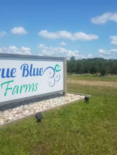 True Blue Farms - Grand Junction,