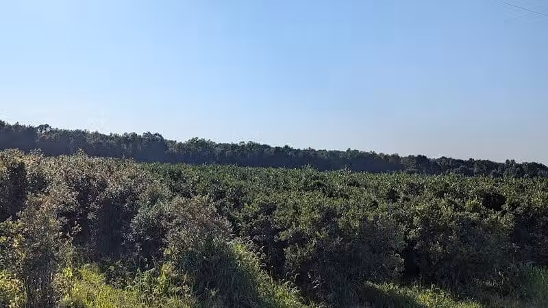 True Blue Farms - Grand Junction,