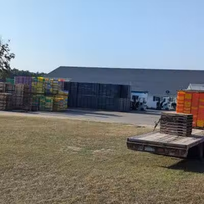 True Blue Farms - Grand Junction,