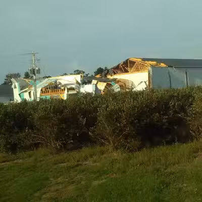 True Blue Farms - Grand Junction,