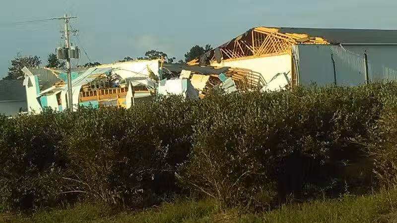 True Blue Farms - Grand Junction,