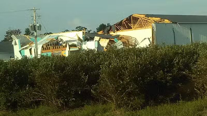 True Blue Farms - Grand Junction,