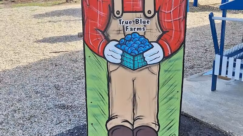 True Blue Farms - Grand Junction,