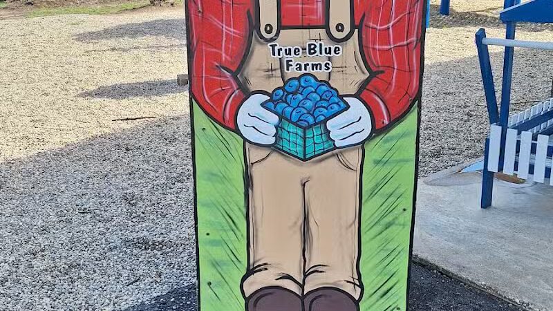 True Blue Farms - Grand Junction,