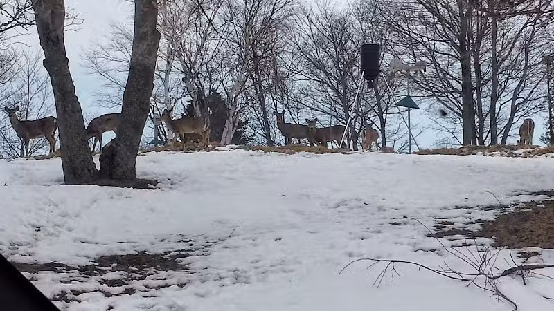 Beach Park Motel - Grand Marais,