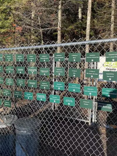 Grand Marais Dog Park by Go Dog North Shore - Grand Marais,