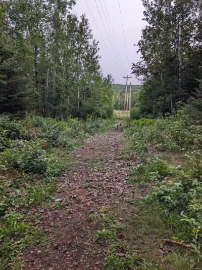 Grand Marais Dog Park by Go Dog North Shore - Grand Marais,