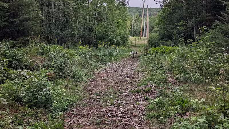 Grand Marais Dog Park by Go Dog North Shore - Grand Marais,