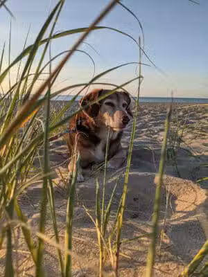 Grand Marais Public Beach - Grand Marais,