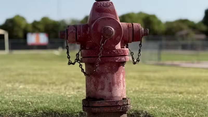 Central Bark Dog Park - Grand Prairie, TX