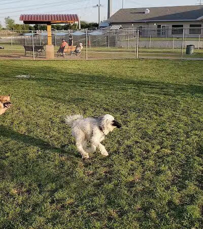 Central Bark Dog Park - Grand Prairie, TX