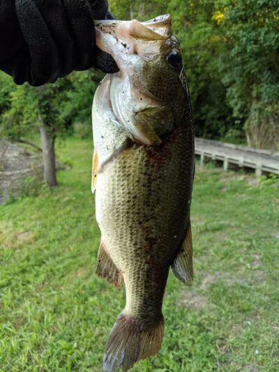 Ambrose Park - Grand Rapids, MI