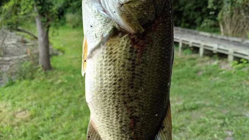 Ambrose Park - Grand Rapids, MI