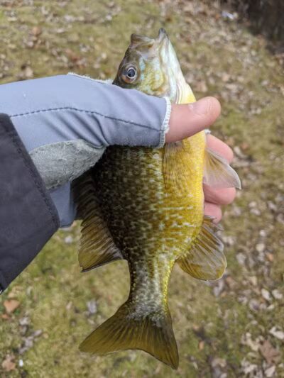 Ambrose Park - Grand Rapids, MI