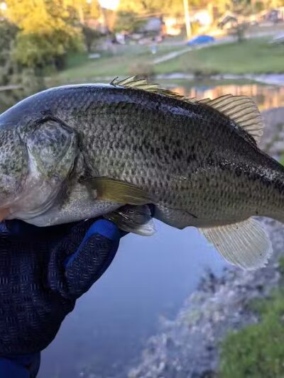 Ambrose Park - Grand Rapids, MI