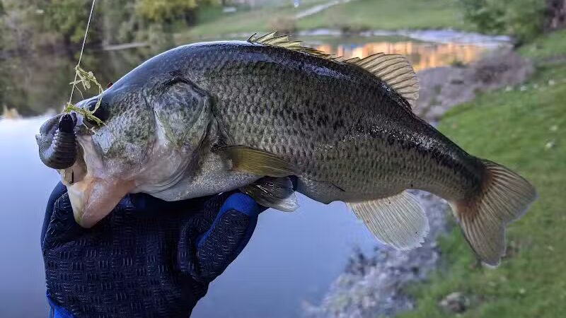 Ambrose Park - Grand Rapids, MI