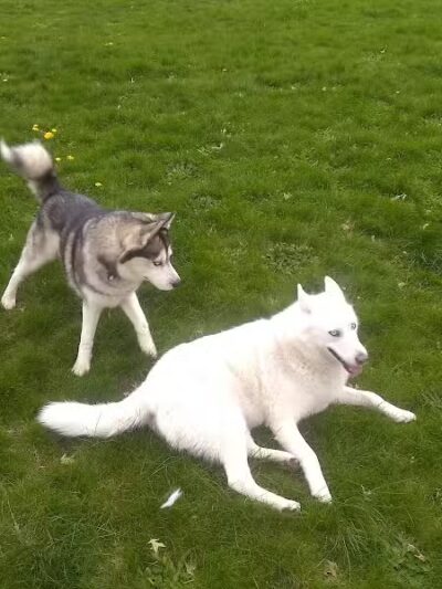 Cambridge Park - Grand Rapids,