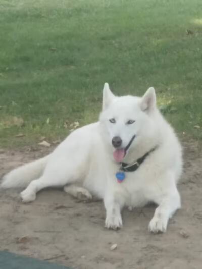 Cambridge Park - Grand Rapids,