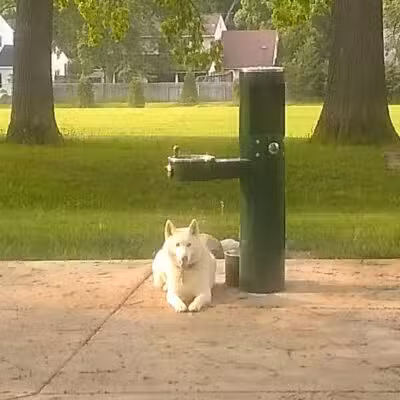 Cambridge Park - Grand Rapids,
